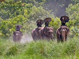Bardiya